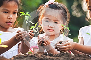 Cute asian children planting young tree in the black soil together in the garden