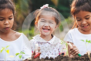 Cute asian children planting young tree in the black soil together in the garden