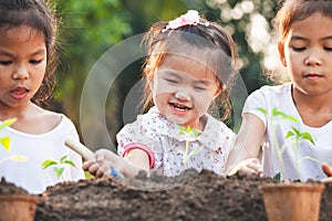 Cute asian children planting young tree in the black soil together in the garden