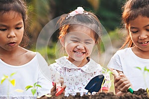 Cute asian children planting young tree in the black soil together in the garden