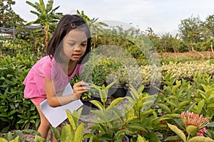 A cute Asian girl in pink, 4 to 6 years old, is walking in the garden. Nursery In the hand there is a book and pen She is taking