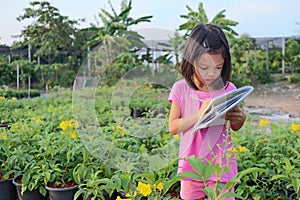 A cute Asian girl in pink, 4 to 6 years old, is walking in the garden. Nursery In the hand there is a book and pen She is taking