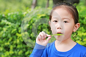 Cute Asian kid girl plays a melody by blowing air through the mouth with a leaf in the garden