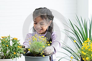 Cute Asian little child girl in gloves and apron, looking at flower with smiling face while having fun planting tree and change