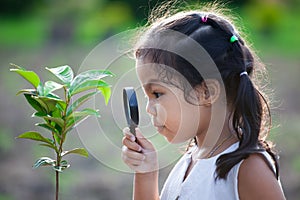 Cute asian little child girl looking through a magnifying glass