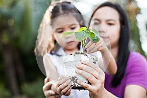 Cute asian little child girl and parent holding young tree