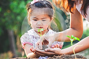 Cute asian little child girl and parent planting young seedlings in the black soil together in the garden