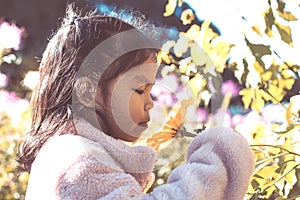 Cute asian little child girl smelling flower in the garden