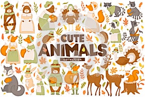 Cute autumn animals vector collection. Bears, foxes, turkeys, racoons, rabbits, hedgehogs, deers, leaves and branches isolated on