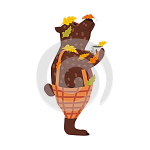 Cute autumn bear covered in fallen autumn leaves with a cup of coffee, fall. Vector, illustration isolated flat cartoon