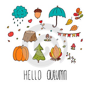 Cute Autumn Floral Forest Design Elements