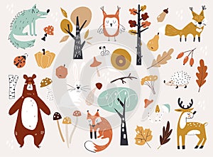 Cute Autumn Woodland Animals and Floral Forest Design Elements. Set of cute autumn cartoon characters, plants and food