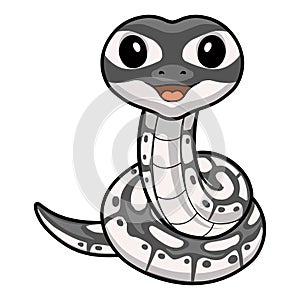 Cute axanthic ball python cartoon