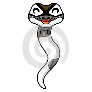Cute axanthic pied ball python cartoon