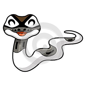 Cute axanthic pied ball python cartoon