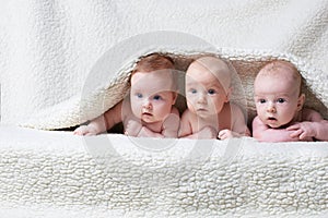 Cute babies on light background