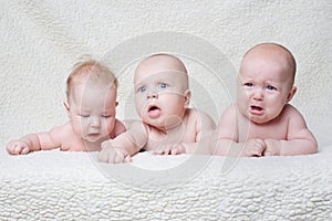 Cute babies on light background