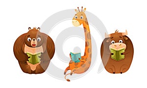 Cute baby animals reading books set. Bear, bull, giraffe sitting with book cartoon vector illustration