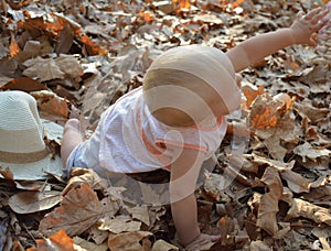 A cute baby on the autumn leaves