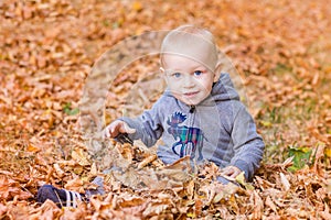 Cute baby in autumn leaves.