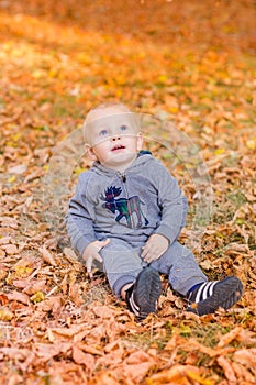 Cute baby in autumn leaves.