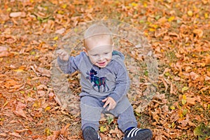 Cute baby in autumn leaves.