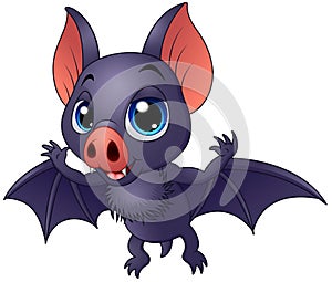 Cute baby bat flying