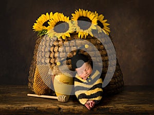 Baby in bee outfit sleeping in beehive photo
