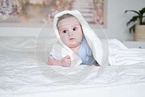 Cute baby boy 6 months old in blu bodysuit smiling and lying on bed with white plaid at home