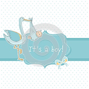 Cute baby boy announcement card with stork and chi