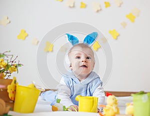 Cute baby boy with Easter bunny ears looking up