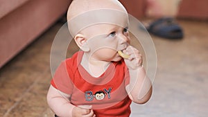 Cute baby boy eating child biscuit