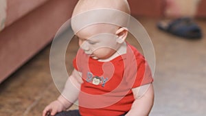 Cute baby boy eating child biscuit