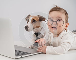 Cute baby boy and Jack Russell terrier dog working on a laptop.