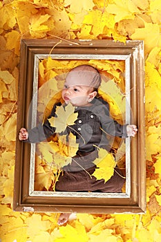 Cute baby boy in picture frame on maple leaves