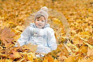 Cute baby boy playing in autumn park. Funny kid sitting among yellow leaves. Adorable toddler with oak and maple leaf