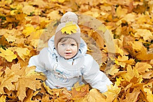 Cute baby boy playing in autumn park. Funny kid sitting among yellow leaves. Adorable toddler with oak and maple leaf. Fall foliag