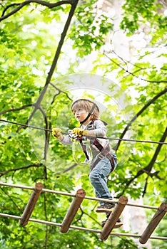 Cute baby boy playing. Kid climbing trees in park. Hike and kids concept. Beautiful little child climbing and having fun