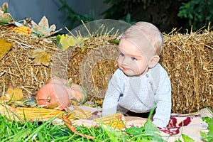 Cute baby boy with pumpkins and corn in autumn garden around fall leaves. A nine-month-old boy with blond hair and blue eyes