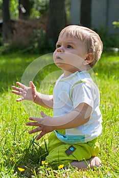 Cute baby boy sitting on the grass