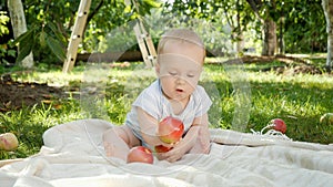 Cute baby boy sitting on grass at orchard and playing with ripe apples. Concept of child development, parenting and