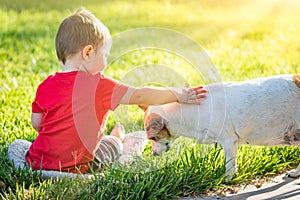 Cute Baby Boy Sitting In Grass Petting Dog