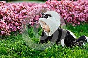 Cute baby boy wearing a Panda bear suit sitting in grass and flowers at park.