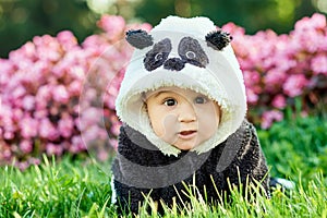 Cute baby boy wearing a Panda bear suit sitting in grass and flowers at park.