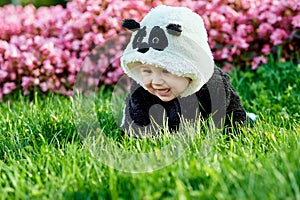 Cute baby boy wearing a Panda bear suit sitting in grass and flowers at park.