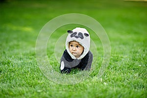 Cute baby boy wearing a Panda bear suit sitting in grass at park.