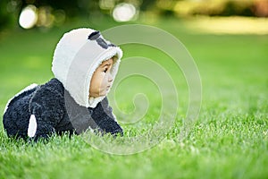 Cute baby boy wearing a Panda bear suit sitting in grass at park.