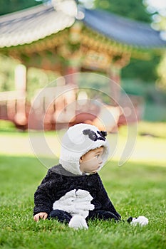 Cute baby boy wearing a Panda bear suit sitting in grass at park.