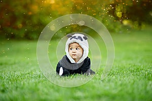 Cute baby boy wearing a Panda bear suit sitting in grass at park.