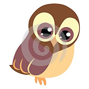 Cute baby brawn owl with big eyes